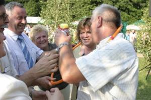 600-lecie aleksandrowic 31 20150512 1248929942