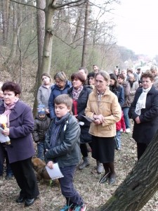 droga krzyzowa 2012 31 20150512 1999424544