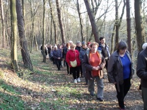 droga krzyzowa 2014 w aleksandrowicach 13 20150512 1889965501