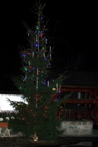 opatek 2011 aleksandrowice 27 20150512 1287629634