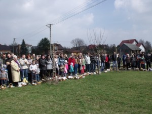 wicenie pokarmaw 2012 5 20150512 1402050377