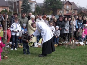 wicenie pokarmaw 2012 6 20150512 1466490444