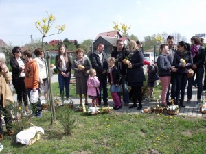 wicenie pokarmaw w aleksandrowicach 2014 18 20150512 1767927209