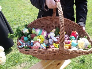 wicenie pokarmaw w aleksandrowicach 2014 23 20150512 1145621007