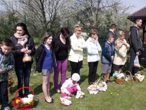 wicenie pokarmaw w aleksandrowicach 2014 9 20150512 1542014399