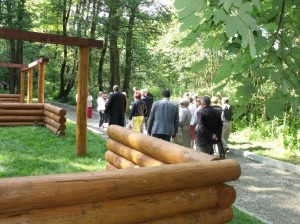 wito aleksandrowic 2011 11 20150512 1094036569